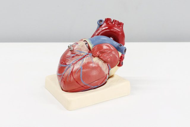 Noise affects the heart too!